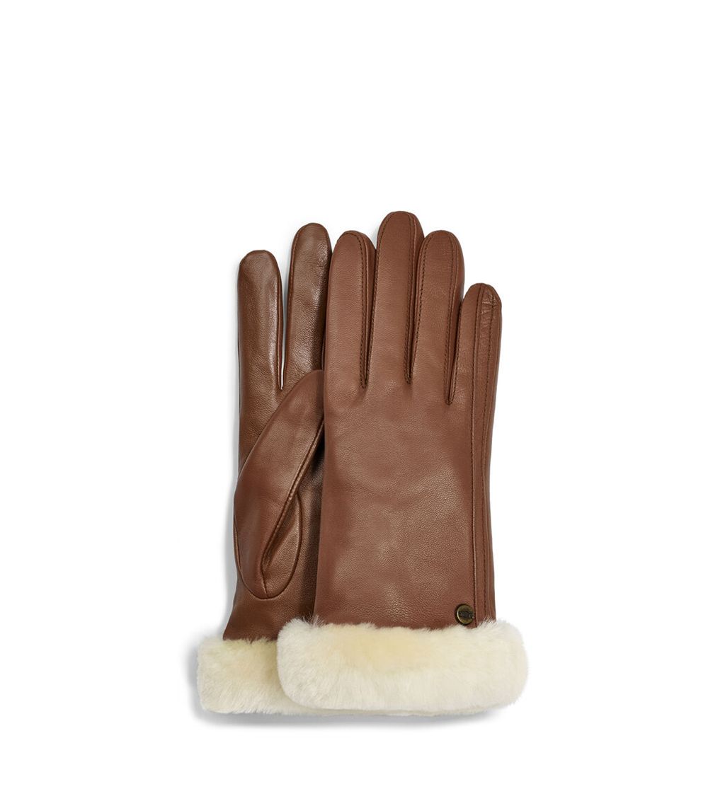 Ugg Gloves Canada - Ugg Women's Classic Leather Y Tech Brown